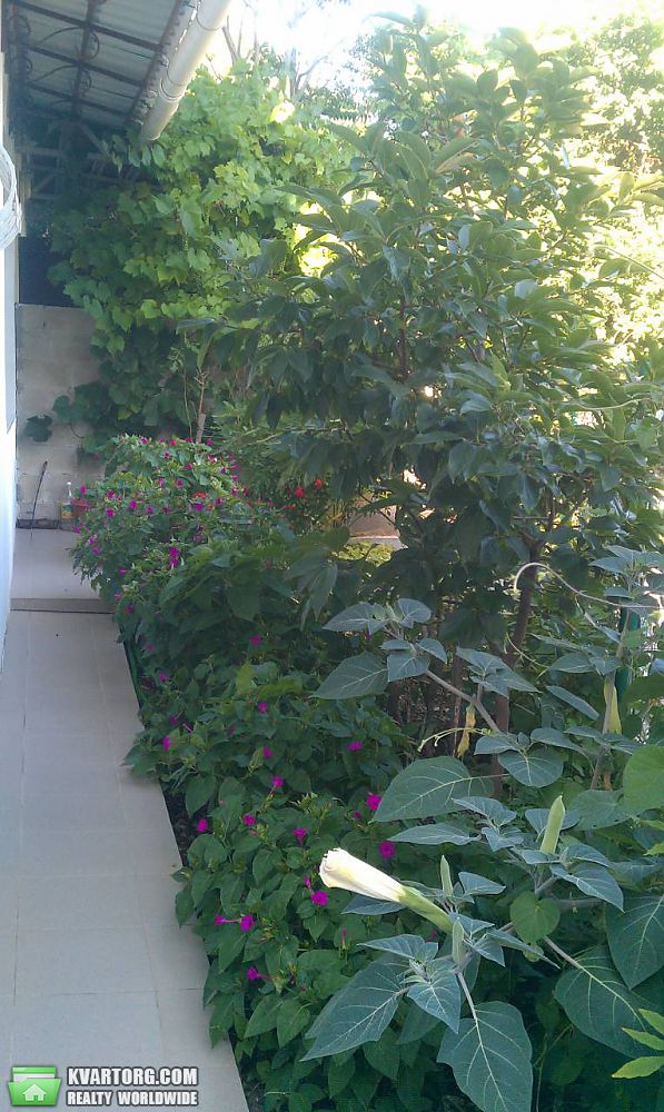 Rent out 2-room apartment. АР Крым, Юсуповский переулок — photo 5