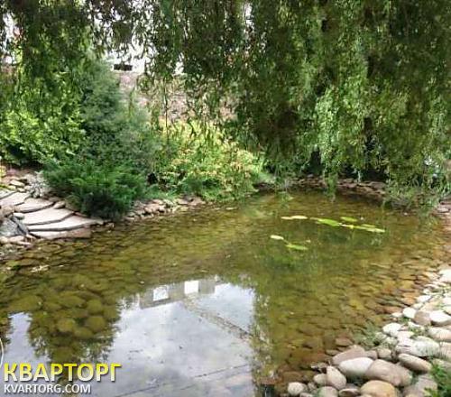 Rent out house. Украинка, Софиевская Борщаговка — photo 9