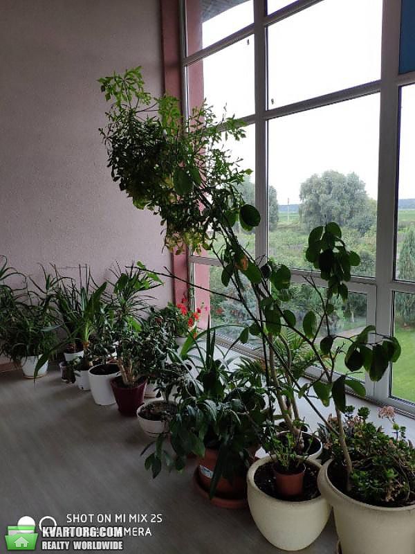 Rent out house. Киевская обл., Гостомель — photo 9