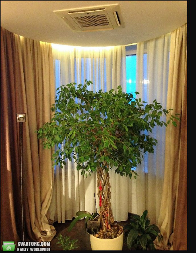 Rent out 1-room apartment. Киев,  Верховинная — photo 10