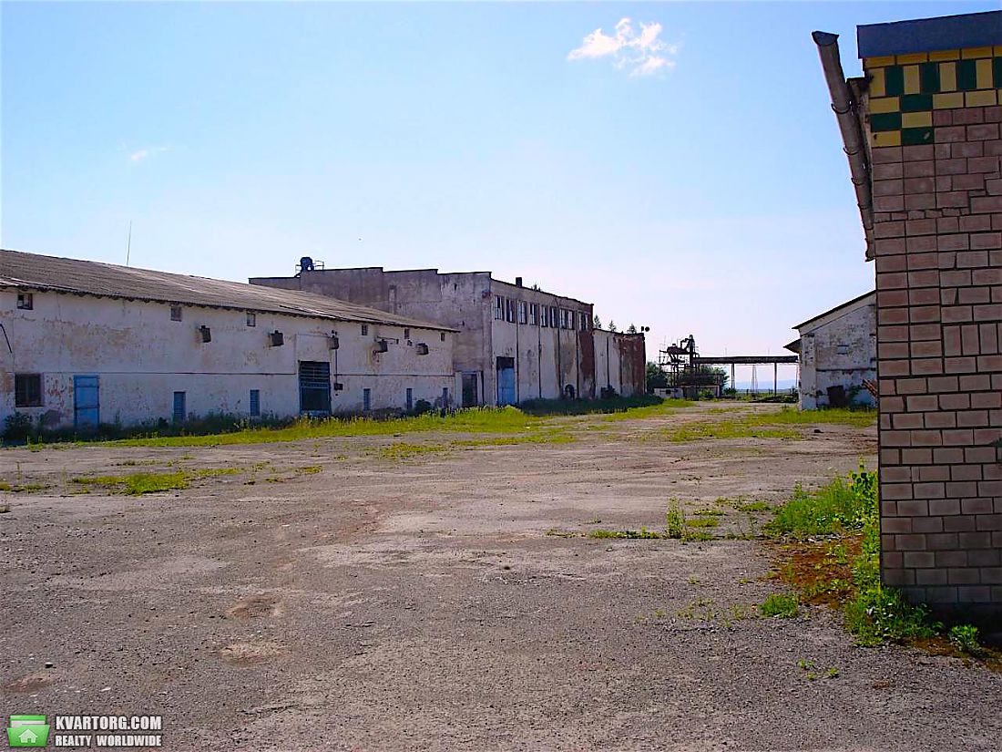 Sell warehouse. Тернополь, Центральная — photo 5