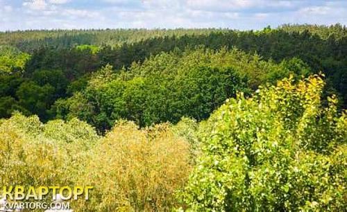 Sell house. Киевская обл., Васильков — photo 7