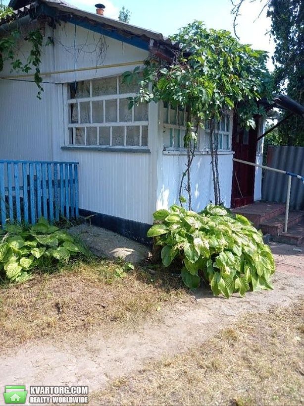 Sell house. Киев, Дыбинцы — photo 2