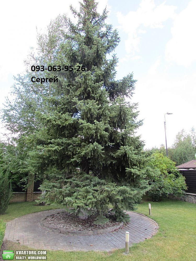 Sell house. Киевская обл., Старокиевская — photo 2