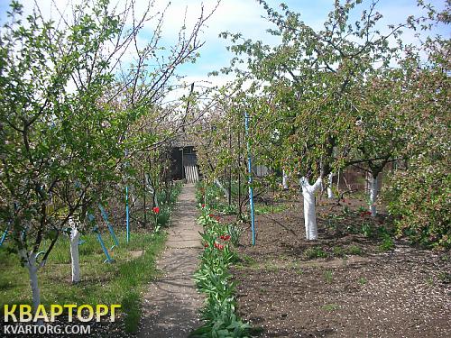 Sell house. Одесса, с. Светлое / "Степовое" — photo 8