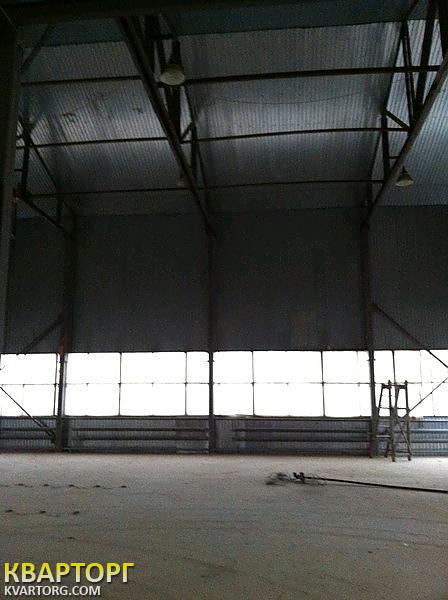 Rent out warehouse. Киев, Бородянский район с. Небрат ул. Гутниченко — photo 9