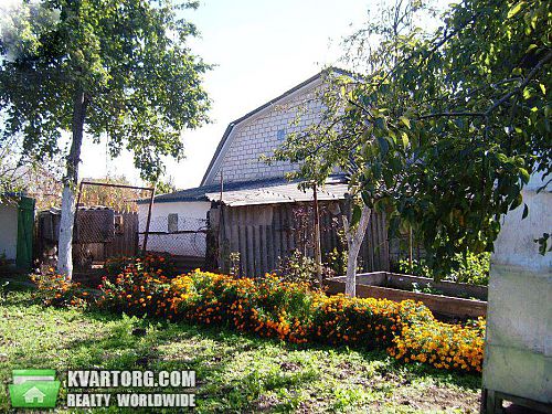 Sell house. Киевская обл., Требухов — photo 6