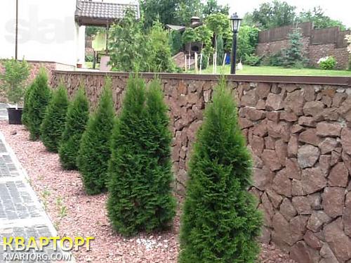 Rent out house. Киев, Шевченка — photo 9