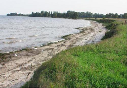 Sell house. Киевская обл., Пионерская — photo 1