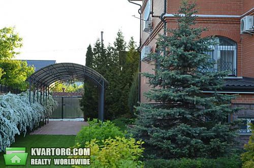 Rent out house. Киевская обл., Музычи — photo 10