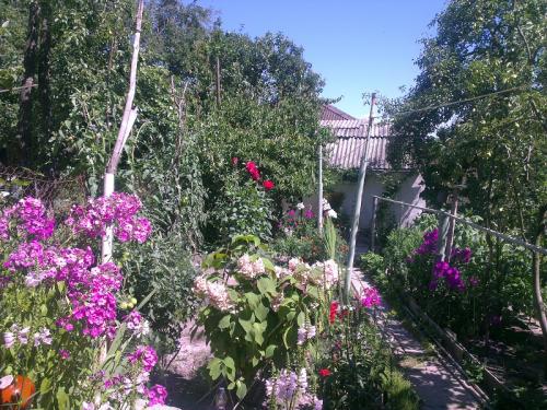 Sell house. Киев, Ростовская — photo 3