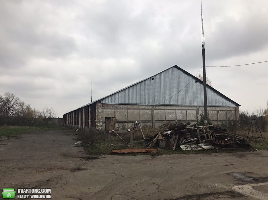 Sell warehouse. Киевская обл., Январский прорыв — photo 3