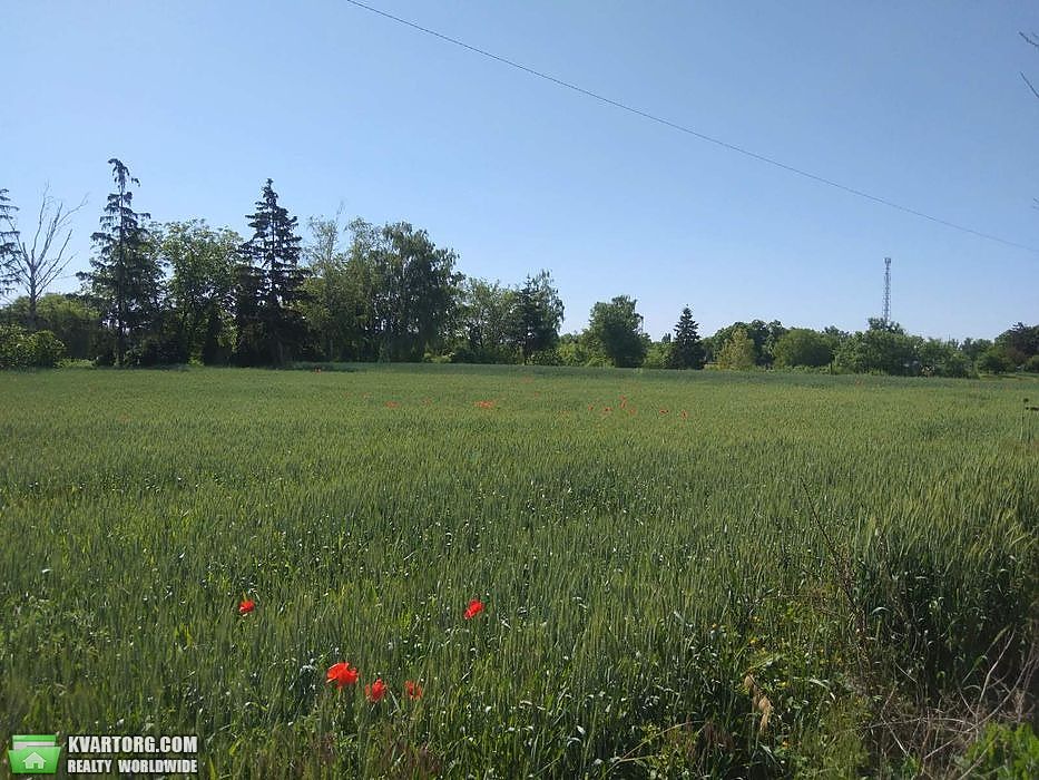 Sell house. Киевская обл., Мала Вільшанка — photo 8
