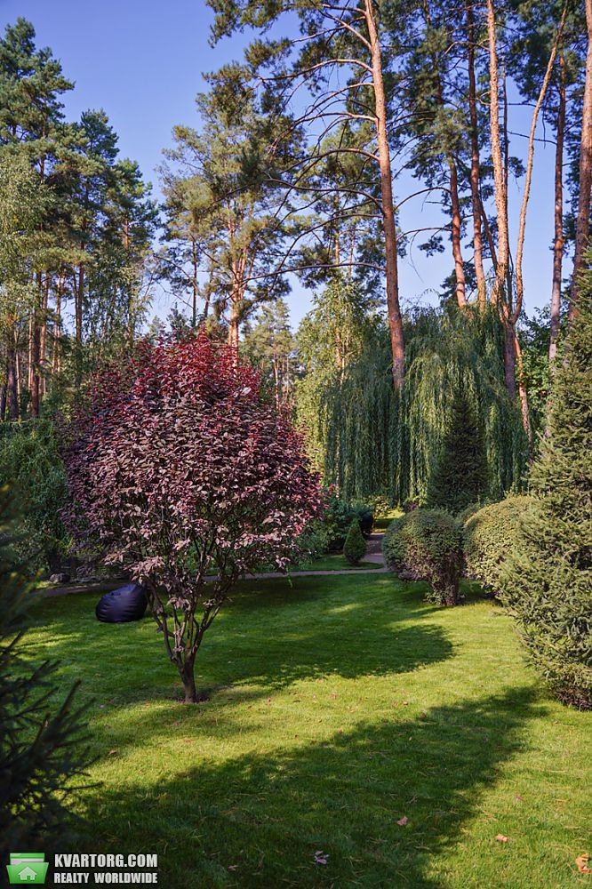 Sell house. Буча, Гоголя — photo 3