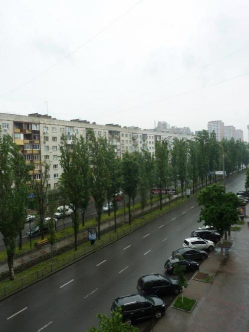 Rent out office. Киев, Леси Украинки бульв. — photo 1
