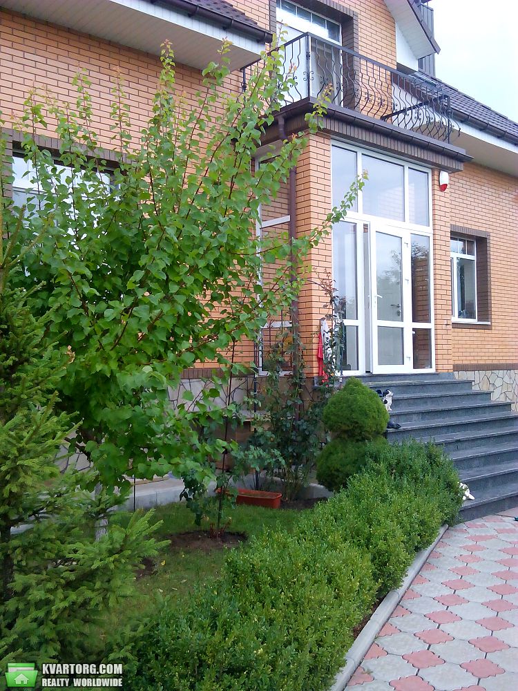 Rent out house. Киевская обл., Петрушки — photo 2