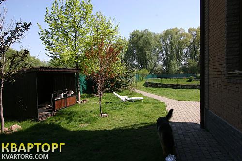 Sell house. Борисполь, Золоче — photo 4