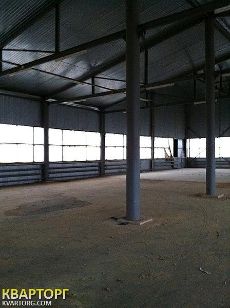 Rent out warehouse. Киев, Бородянский район с. Небрат ул. Гутниченко — photo 7