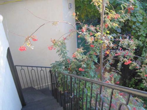 Rent out house. Одесса, 11-я Фонтана — photo 3