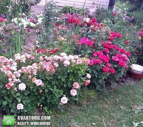 Sell house. Киевская обл., Крюковщина — photo 4