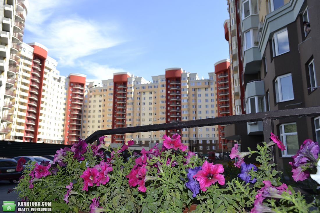 Цветы ломоносова купить киев, томске фото