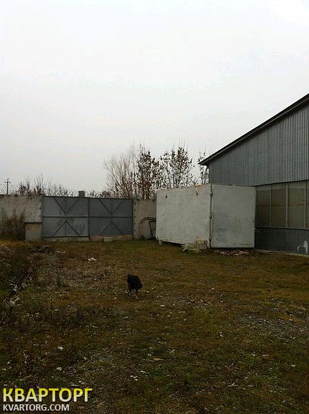 Rent out warehouse. Киев, Бородянский район с. Небрат ул. Гутниченко — photo 4
