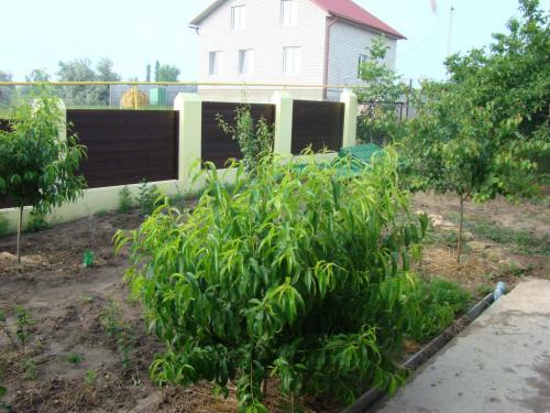 Sell house. Одесса, Нати — photo 9
