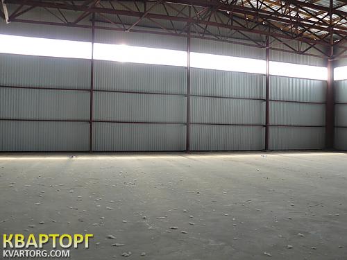Rent out warehouse. Киевская обл., Пуховка — photo 2