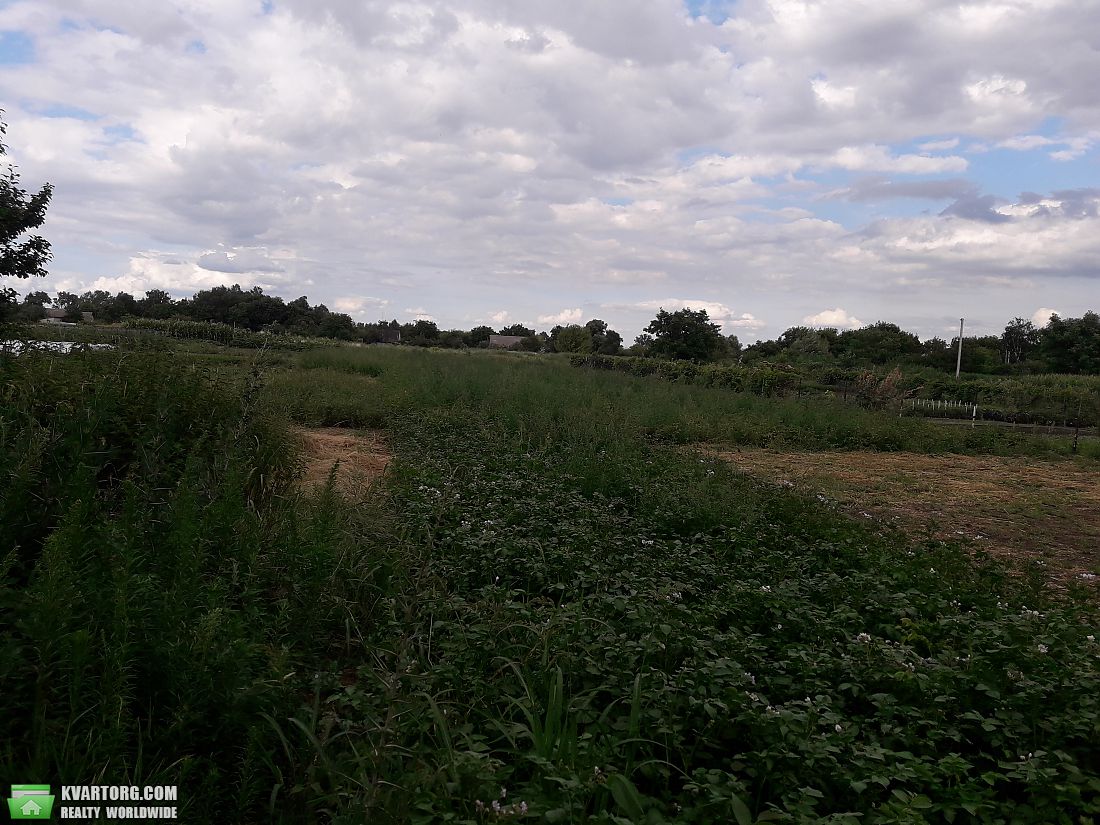 Sell house. Борисполь, с.Глибоке — photo 10