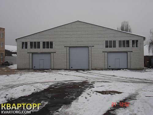 Rent out warehouse. Буча, Горького — photo 2