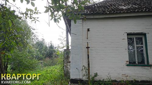 Sell house. Киевская обл., с. Кившовата — photo 5