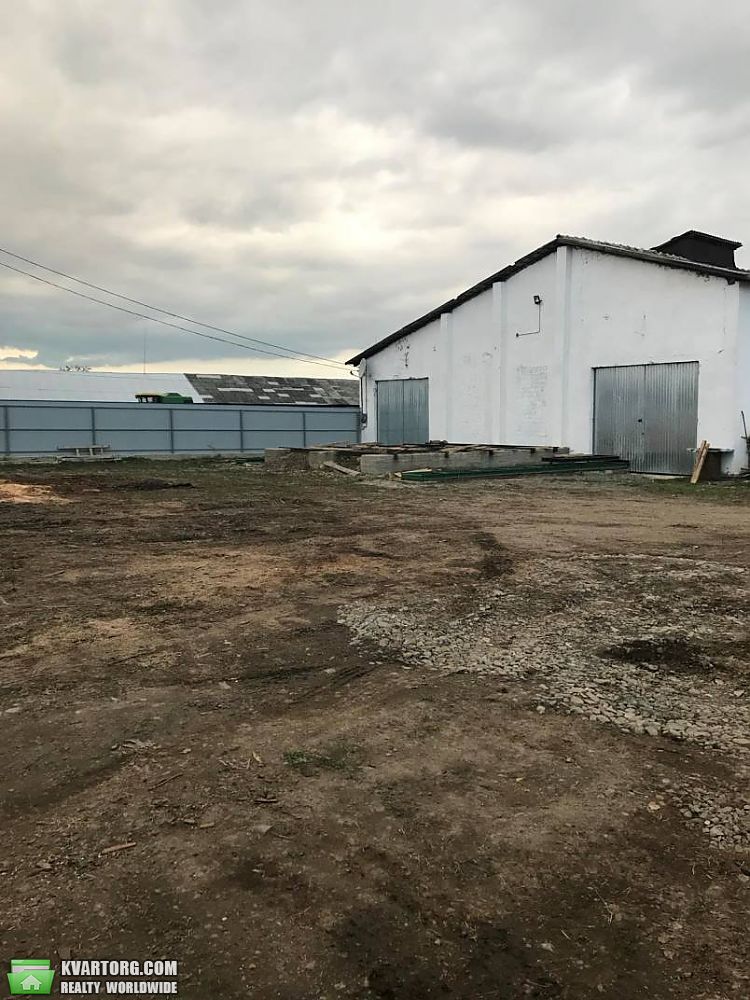 Sell warehouse. Черновцы, Коритне — photo 3