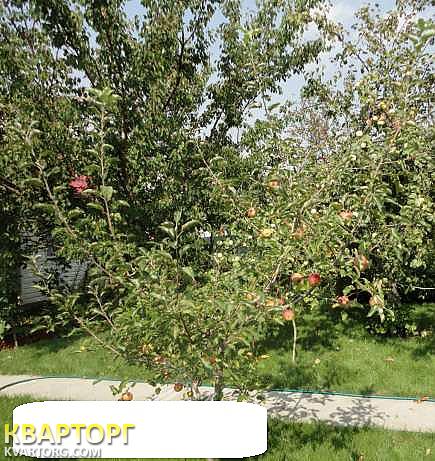 Sell house. Васильков, Глеваха1 — photo 3