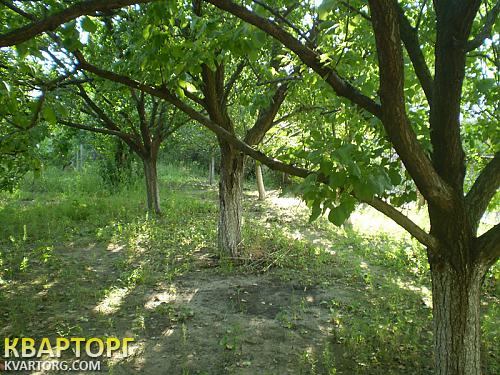 Sell house. Херсон, Остров — photo 3