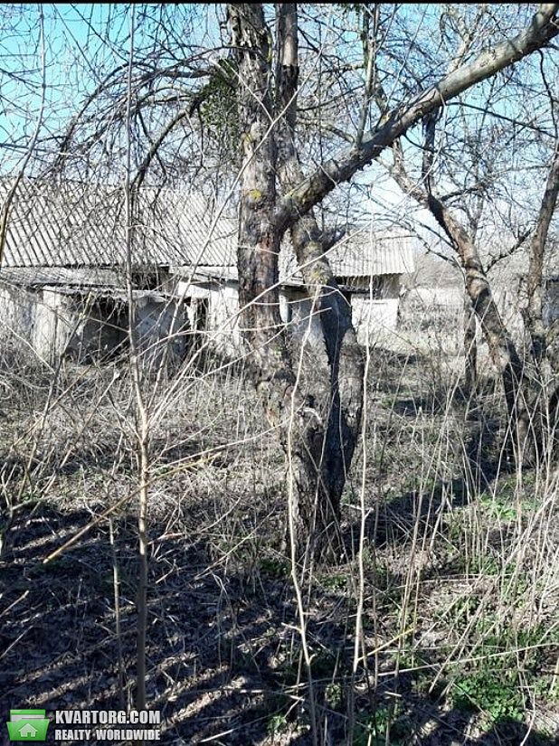 Sell house. Киевская обл., Ходоров — photo 5