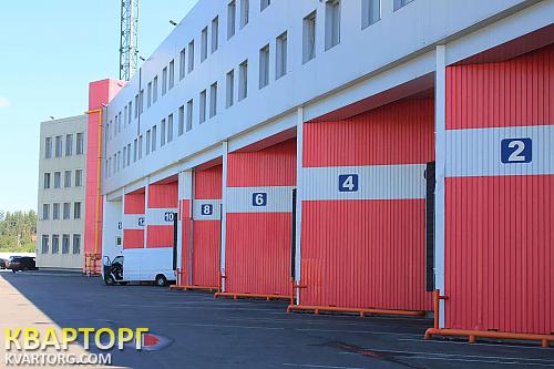 Rent out warehouse. Киевская обл., Чайки — photo 1