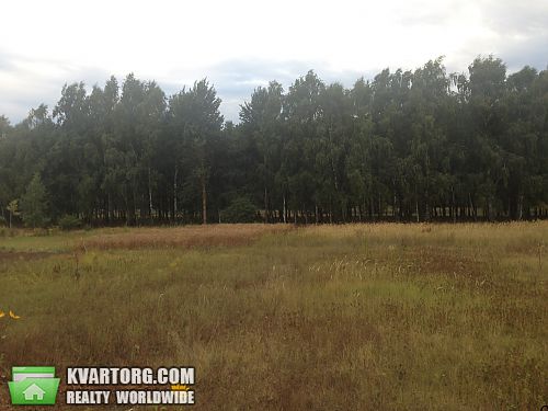 Sell house. Киевская обл., Ровжи — photo 4