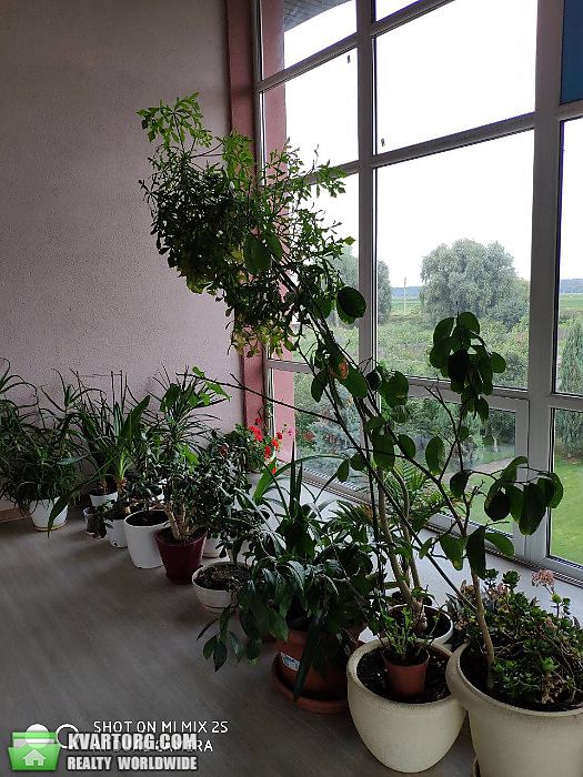 Rent out house. Киевская обл., Ленина — photo 9