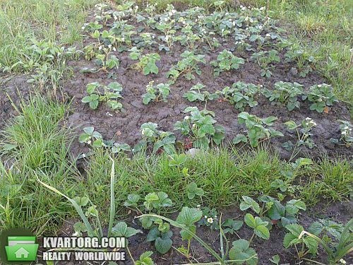 Sell house. Киевская обл., Полевая — photo 6