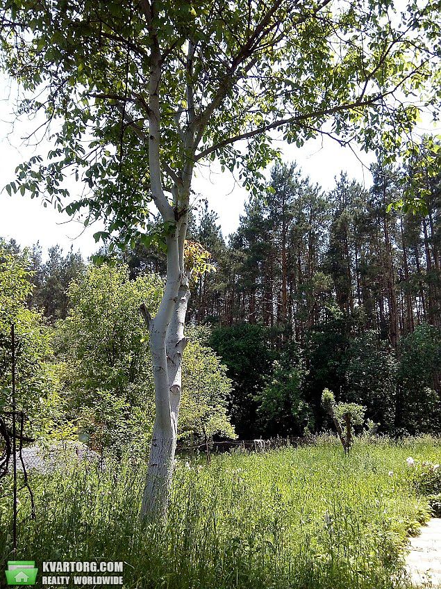 Sell house. Киевская обл., Першотравневий — photo 8