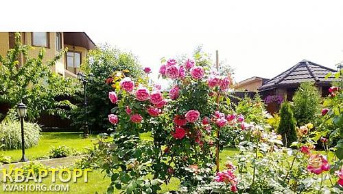 Rent out house. Киев, Богатырская — photo 2