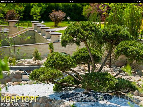 Sell house. Киевская обл., В.Дамба — photo 9