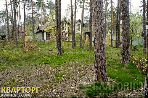 Rent out house. Киевская обл., полевая — photo 8