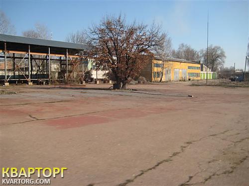Sell warehouse. Киев,  Щорса — photo 9