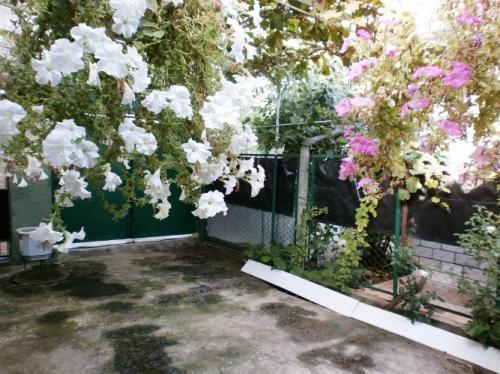 Sell house. Одесса, Васнецова — photo 1