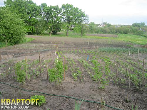 Sell house. Киев, Броварская — photo 2