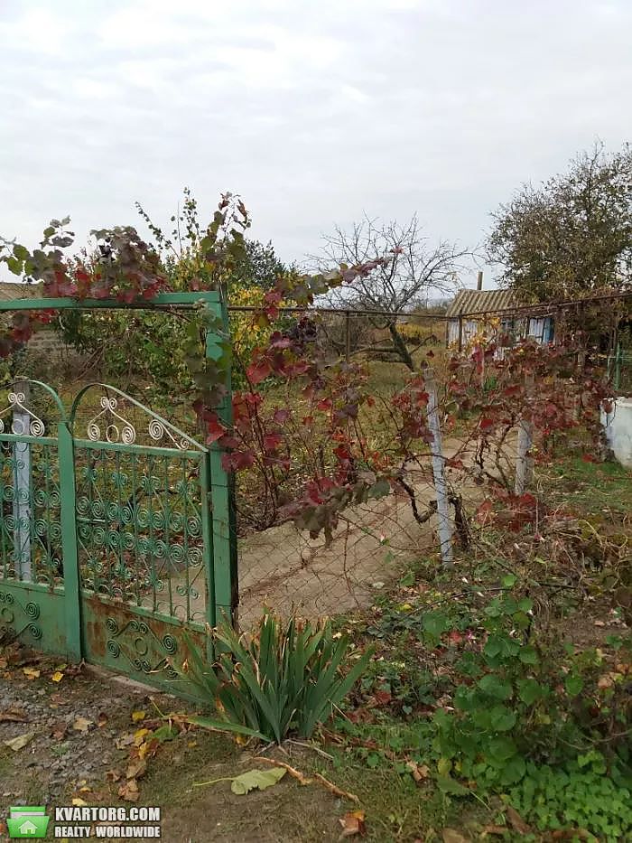 Sell house. Николаев,  Шмидта — photo 5