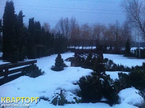 Rent out house. Киевская обл., с. Ходосеевка — photo 10
