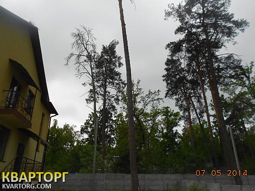 Sell house. Киевская обл., . — photo 3