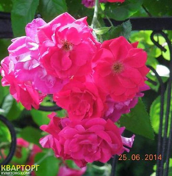 Sell house. Киев,  Крылова — photo 4